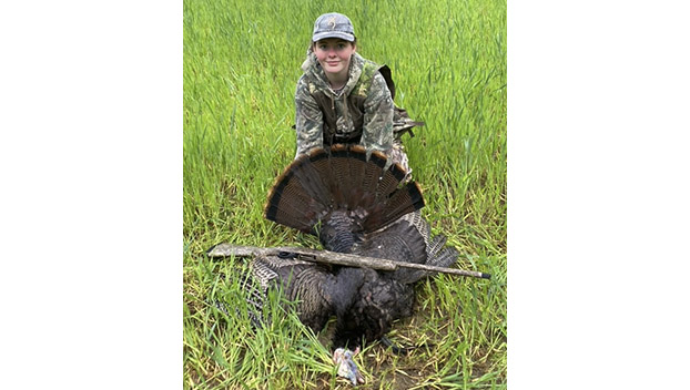 Turkey hunt
