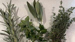 herb garden