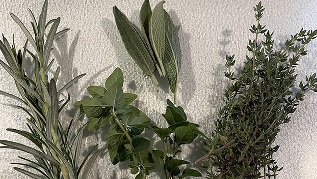 herb garden