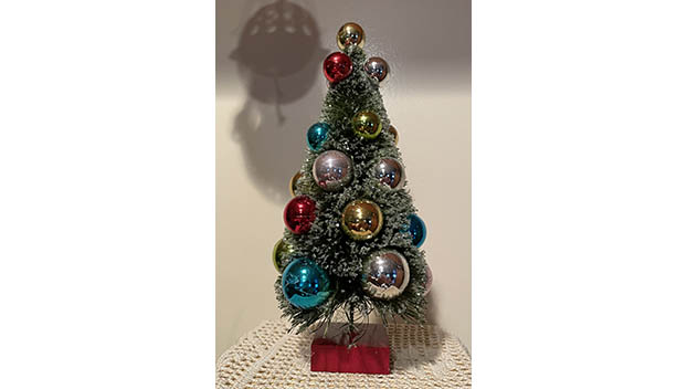 bottle brush tree