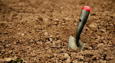 soil borrow