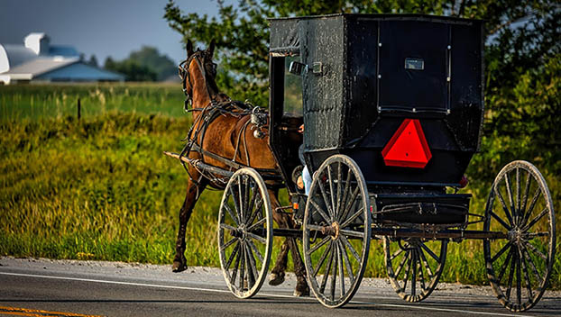 buggies